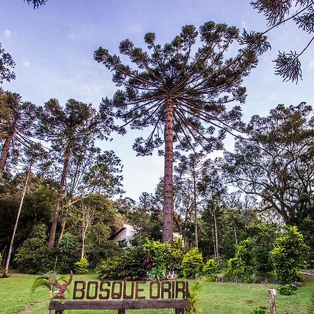 Отель Bosque Oriri Reboucas Экстерьер фото