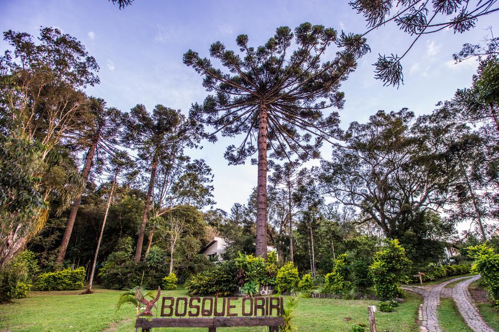 Отель Bosque Oriri Reboucas Экстерьер фото